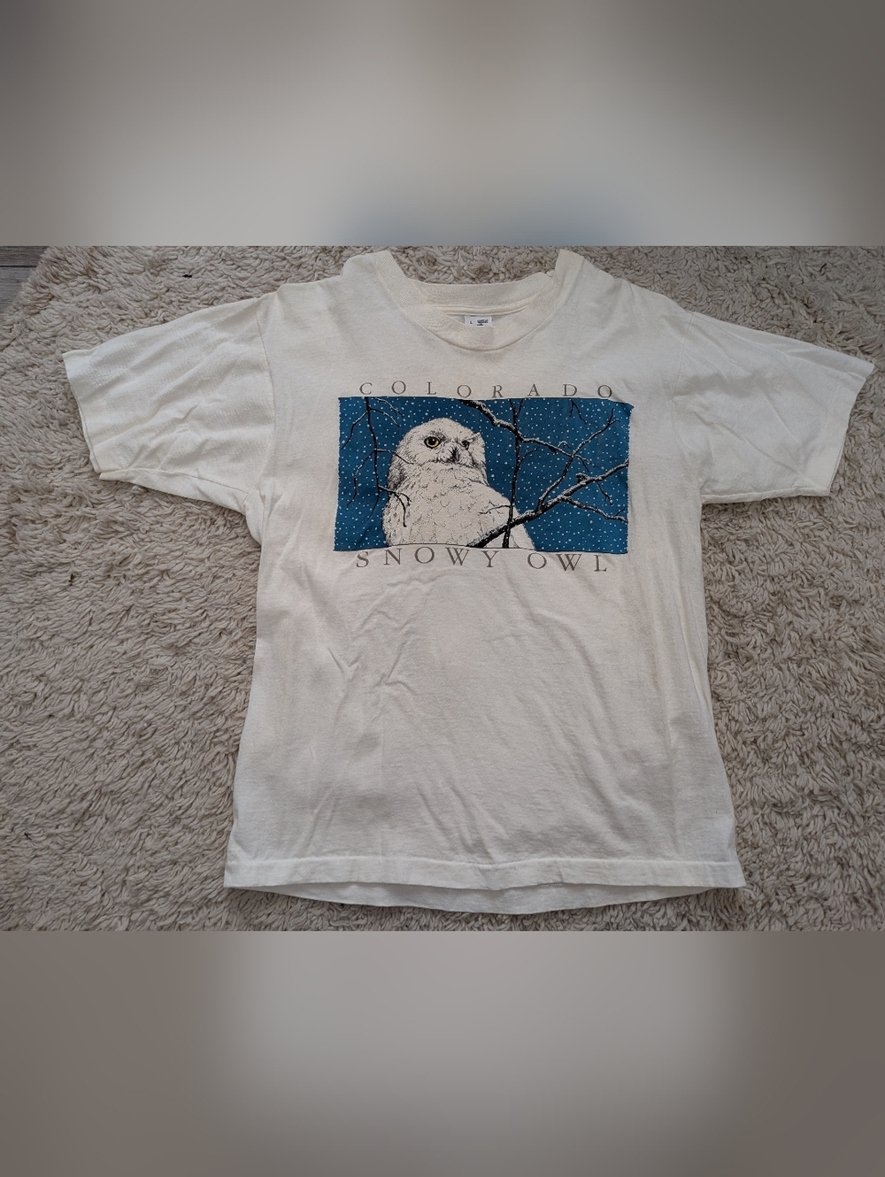 Fruit of the Loom Vintage 80s 90s White Snowy Owl Graphic Tee Nature Birds Retro